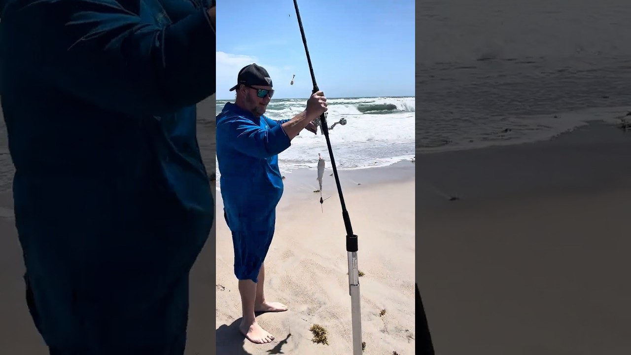 ☀️🐚Exploring Canaveral National Seashore 🐊🦩