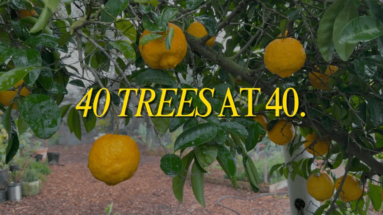Planting 40 Fruit Trees at 40 | Trees 1 & 2 in the Storm - YouTube