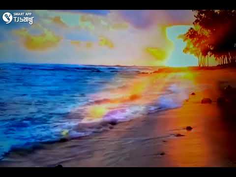 [TJ노래방라운지] 울어라열풍아 - 이미자