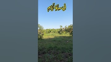 التلاوه الأجمل | محمود علي البنا | فِي سِتَّةِ أَيَّامٍ #quran #المصحف #nature