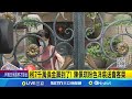 柯文哲交保
