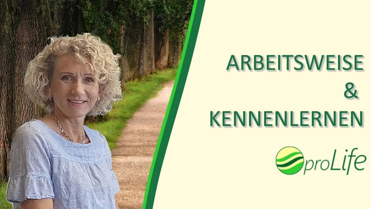 Arbeitsweise und Kennenlernen