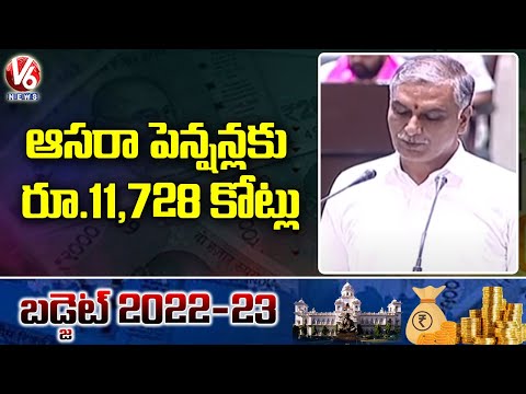 TS Govt Announces 11,728 Crores For Aasara Pension Scheme In Budget Sessions 2022 - 23  | V6 News