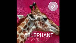 Elephant Dung Coffee - 규빈 Gyubin