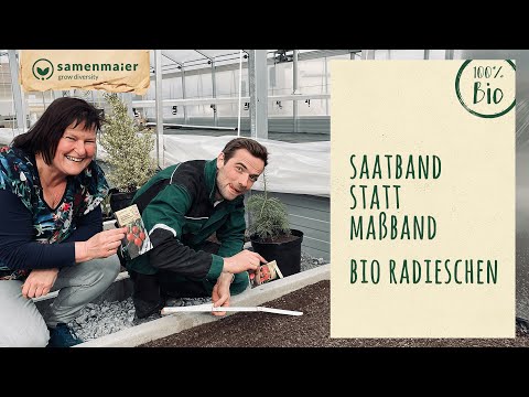 Video: Saatband-Anleitung: Erfahren Sie, wie Sie Saatband für den Garten herstellen