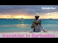 Vacation in Barbados - episode four! Shipwreck, turtles, stingrays and flying fish!