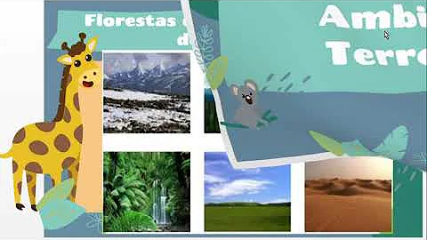Em qual ambiente vivem os animais terrestres?