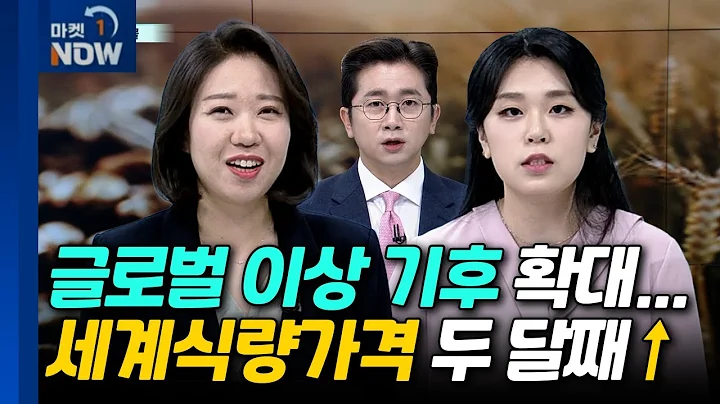 곡물 | 신송홀딩스, 한국맥널티, 한일사료 | Market Now (20240510)