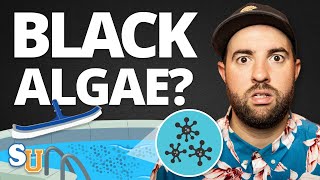 How To Get Rid Of BLACK ALGAE In Your POOL | Swim University