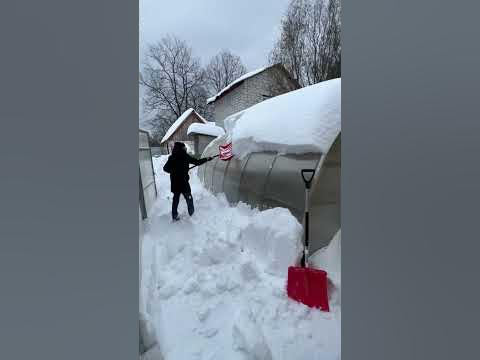 Много осадков этой зимой #воронеж #дачнаяжизнь #дачник #дачники # ...