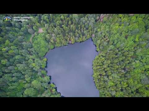 ბატეთის ტბა, ძამას ხეობა. July, 2018