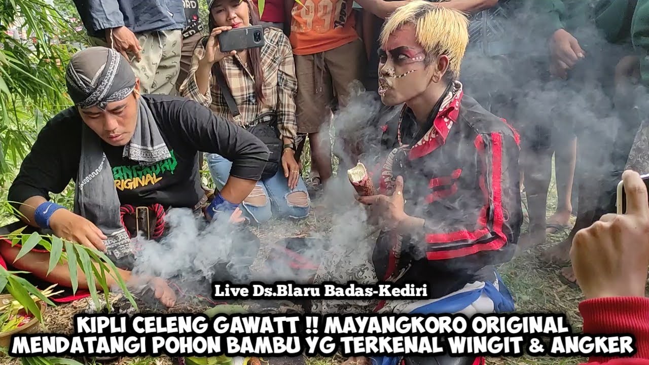 Kipli Celeng Angker❗ MAYANGKORO ORIGINAL ❗Mendatangi Pohon BAMBU Terkenal ANGKER Blaru Badas Kediri