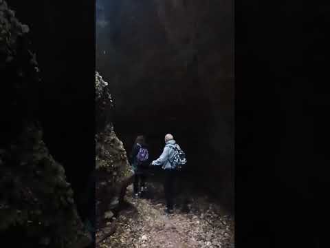 ΔΑΣΟΣ ΦΟΛΟΗΣ ΗΛΕΙΑ