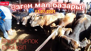 Өзгөн бука базары! Эркек торпок| Бука| 11.07.2021