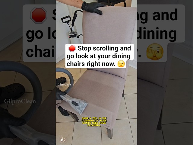 "Be honest: when was the last time you actually cleaned your dining chairs?"