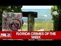 Florida Crimes of the Week: Family fights off carjackers at beach