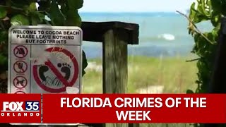 Florida Crimes of the Week: Family fights off carjackers at beach by FOX 35 Orlando 7,513 views 1 day ago 8 minutes, 16 seconds