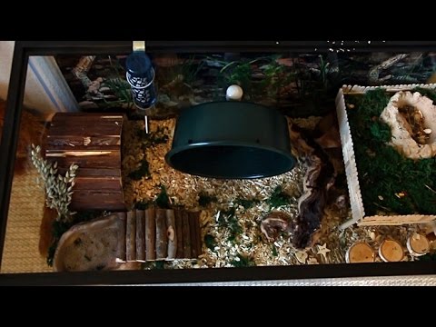 40 gallon hamster cage