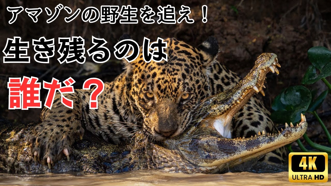 生き残れるのは一握りだけ…アマゾンの過酷なサバイバル