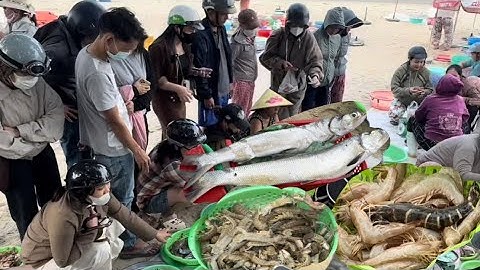 Chợ Hải Sản Nhiều Cá Tôm Tươi Roi Rói Bà Con Kéo Nhau Ra Mua Ở Biển Đà Nẵng | MINH LÊ VLOG 