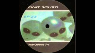 sp23 - ekat sgurd A.wmv