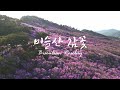 비슬산 참꽃(Biseulsan Rosebay)