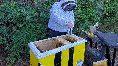 Preparing our Layens Horizontal Hives for Winter - Part 2: Big BEE and Sunset