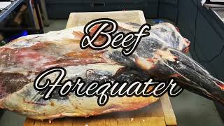 Butchers shop ASMR. Breaking a Beef Forequater into primals. #SRP #beef #forequater #asmr
A Beef Forequater, broken down into its 8 primals. The primals are? Shin, neck & clod, brisket, Jacobs Ladder, fore ribs and the chuck and blade. No narration, just a relaxing beefy video with mellow music showcasing old skool traditional skills that are slowly dying out. Hope you enjoy. Butchers shop ASMR. Breaking a Beef Forequater into primals. #SRP #beef #forequater #asmr