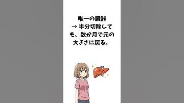 ちょっと為になる体の雑学　#voicevox :青山龍星、#雑学