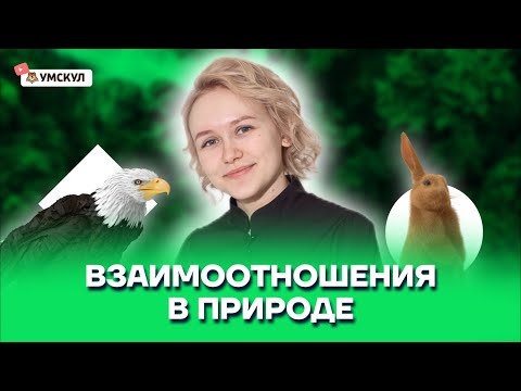 Взаимоотношения в природе | Биология ОГЭ 2022 | Умскул