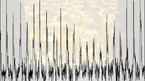 Steve Reich   Pulses