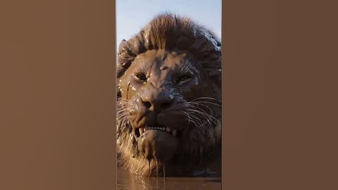 Deze leeuw zag dit absoluut niet aankomen… 😂🦁🐗