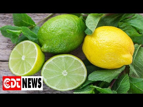 Vidéo: Différence Entre Le Citron Vert Et Le Jus De Citron