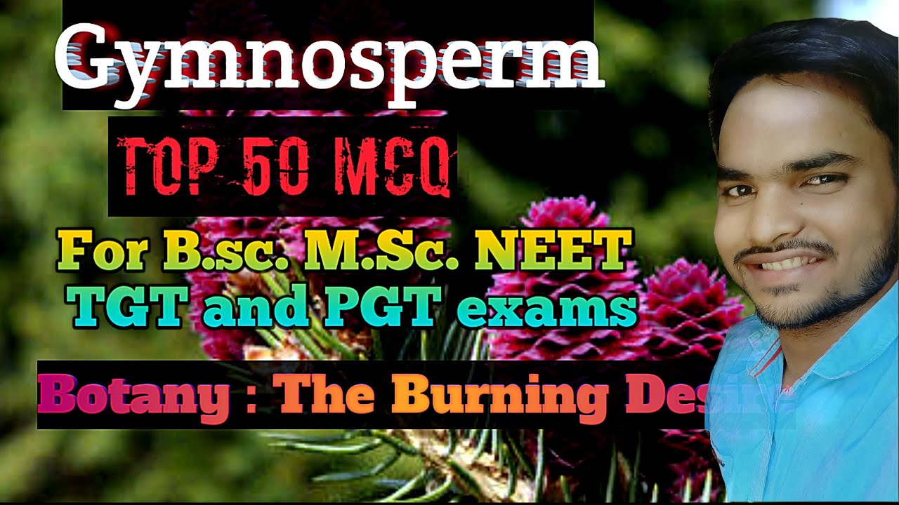 MSc Botany Entrance & Assistance Professor 2025 | Gymnosperm Top 50 MCQ for CUET CPET