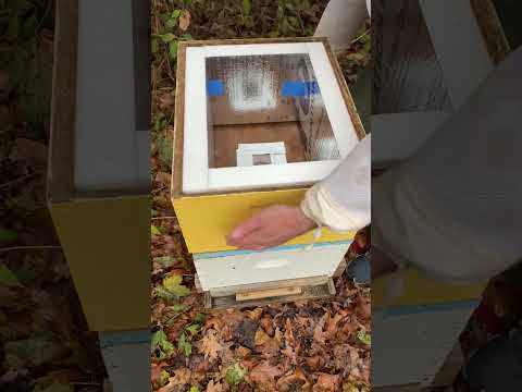 Video: Making beehives with your own hands: dimensions, drawings. Manufacturing technology of polystyrene foam hives at home