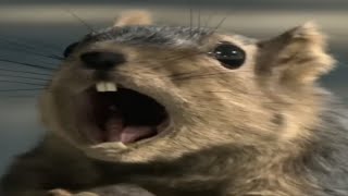 Crossover Videos Cringe Compilation