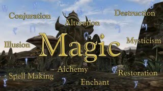 The Elder Scrolls VI What Magic Should Be Like