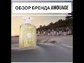 Обзор великолепного бренда AMOUAGE