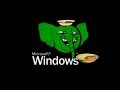 Windows SLONIK