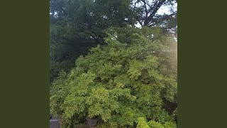 kgooa