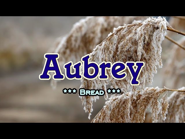 Aubrey - Bread (KARAOKE VERSION) class=