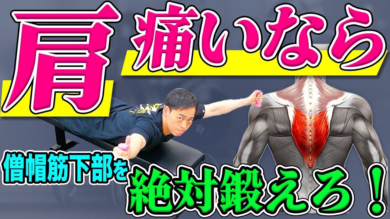 【筋トレ大百科】弱いと絶対ケガをする『僧帽筋下部』を鍛えるべき科学的根拠 TOP３