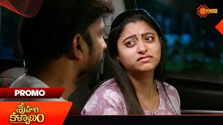 Sri Hari Kalyanam - Promo 20 Nov 2025 Telugu Serial Gemini Tv