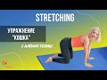 STRETCHING с Аленой Телиш