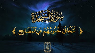 حالات واتس اب قرآن كريم بصوت جميل جدا❤️سورة السجدة ا محمدعبدالقوى