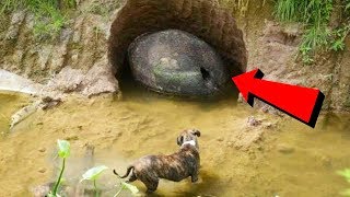 Aramalar Sırasında Keşfedilen 6 Gizemli Şey