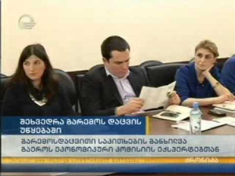 MOE: საქართველოში გარემოსდაცვითი მმართველობის ეფექტურობის მესამე მიმოხილვა გაიმართა