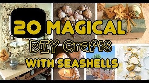 20 Magical DIY Crafts With Seashells