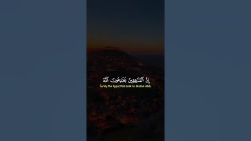 ياسر الدوسري تلاوه خاشعه 😌 #لايك #المصحف #اكسبلور