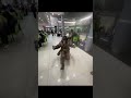 26 октября 2025 г.